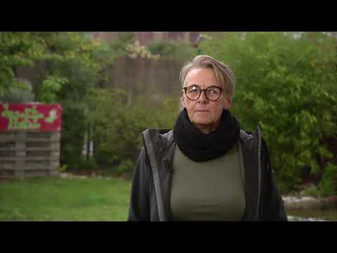 Interview mit Claudia Schieren, Geschäftsführerin von VISION in Köln, zum Thema Hepatitis Safer Use