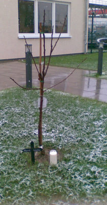 im Gedenken an Bernd Lemke