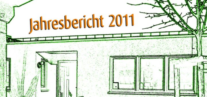 thumbnail of 2011_jahresbericht