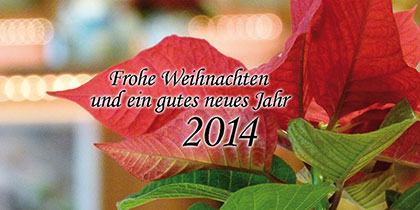 weihnachten_2013_420