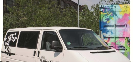 thumbnail of VISION-Jahresbericht-2019